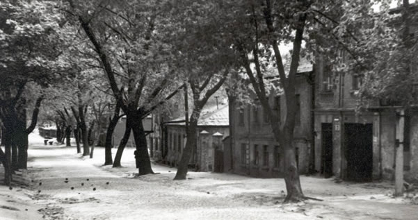 На фотографии была изображена маленькая улица с белеными глиняными домиками под соломенными крышами